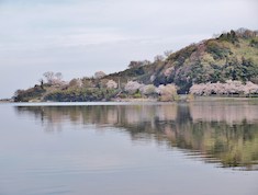 【春】一区にて