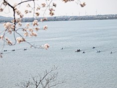 【春】旧桜小学校にて