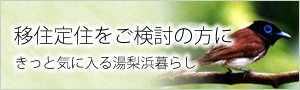 定住移住をご検討の方に／くらしの情報