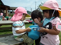 子どもたちが遊んでいる写真