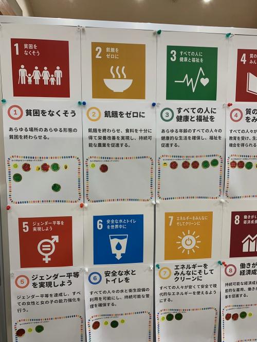 図書館まつり　ＳＤＧｓ投票その1