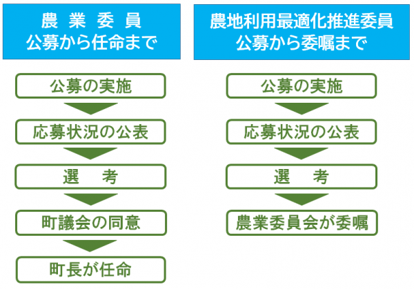公募から任命まで