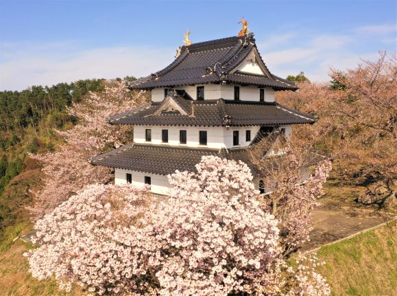 羽衣石城（桜）