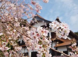 龍徳寺