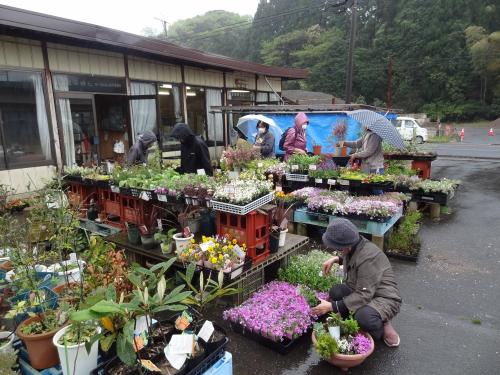 寄せ植え