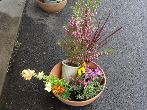寄せ植え