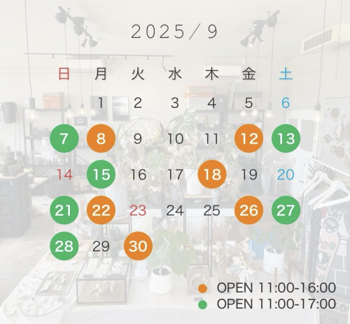 ダブルアンドコ